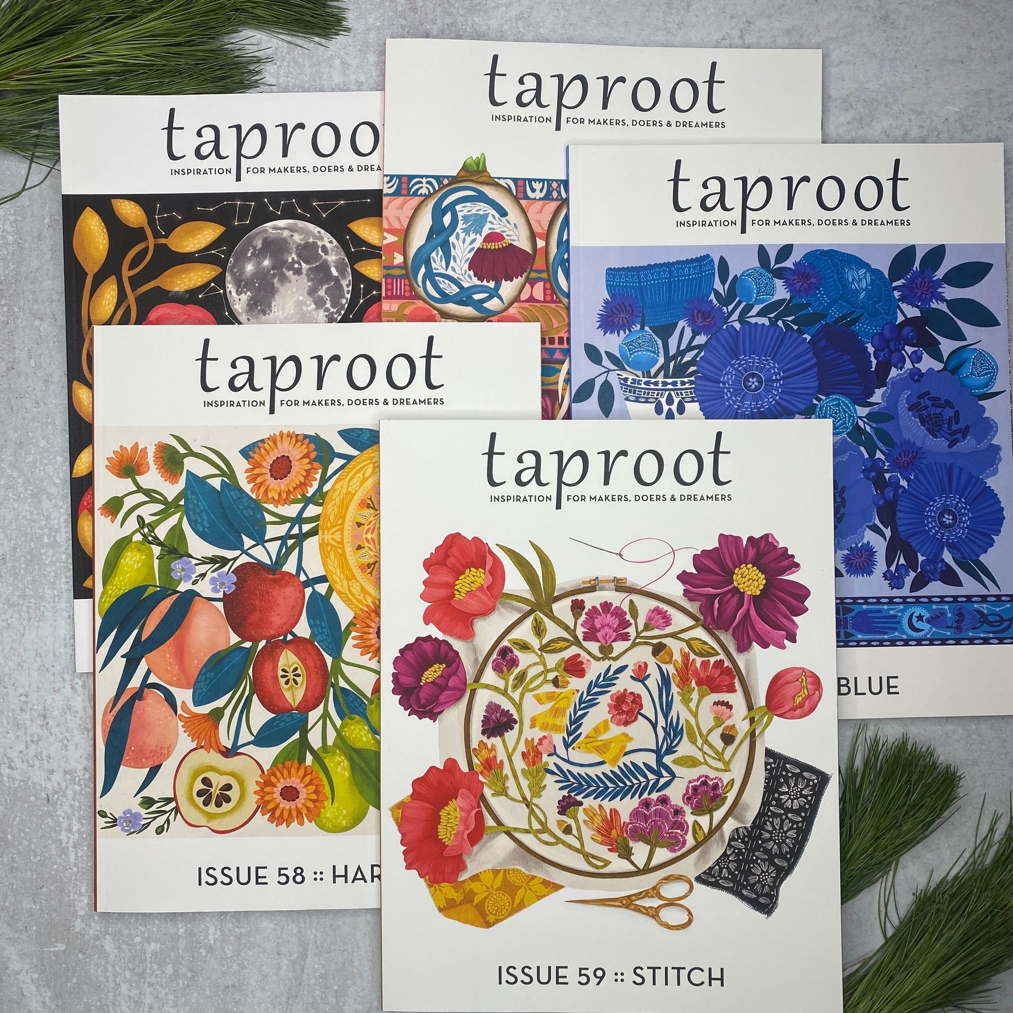 Taproot Magazine Year 12 Collection