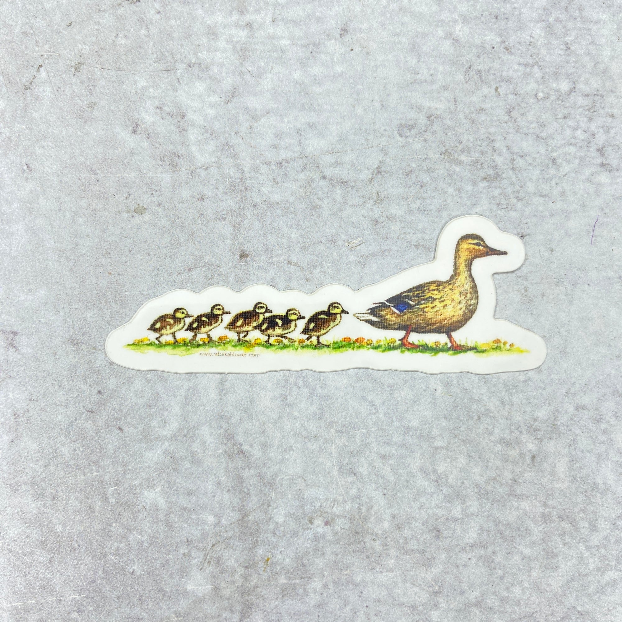 Sticker - Ducks in a Row