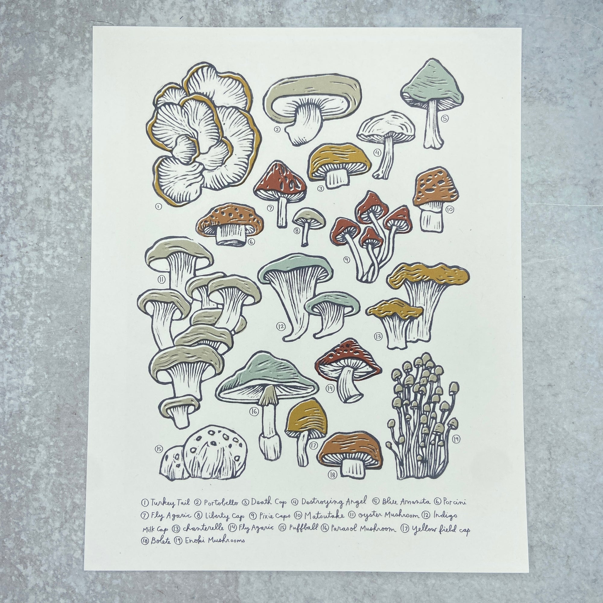 Mushrooms & Fungi - Print