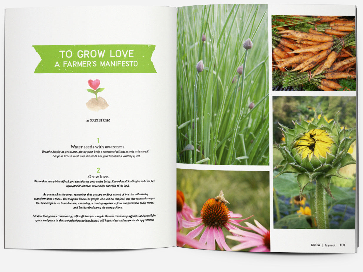 ISSUE 22::GROW