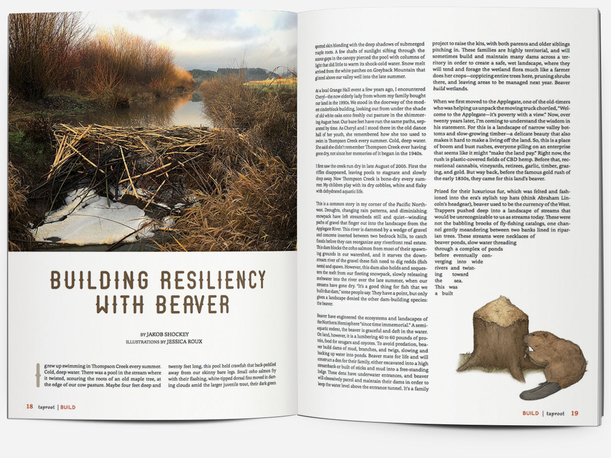Issue 35::BUILD
