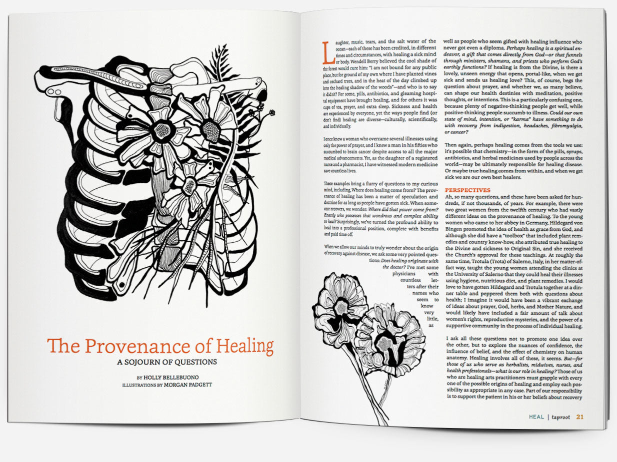 ISSUE 26::HEAL
