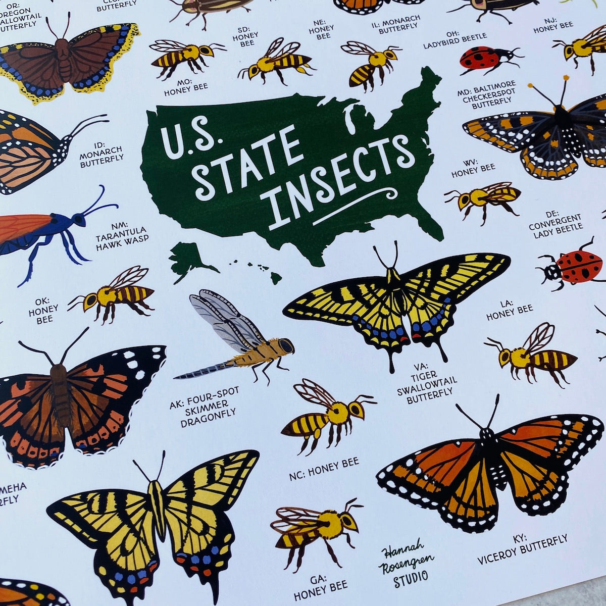 US State Insects - Print