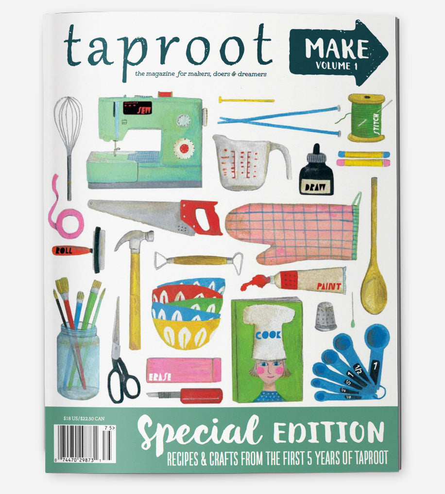 The Cake Tester - Taproot Magazine