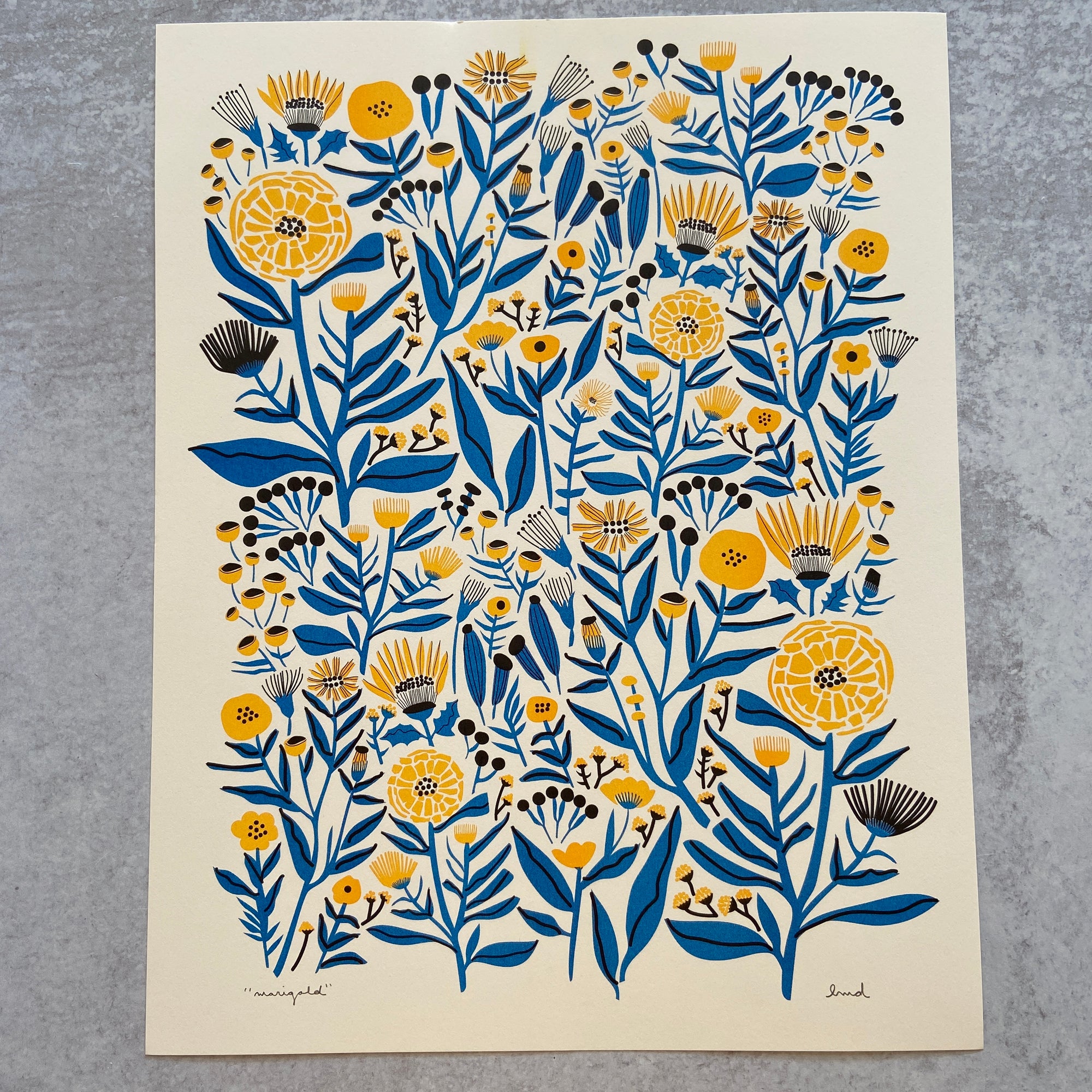 Marigold - Print