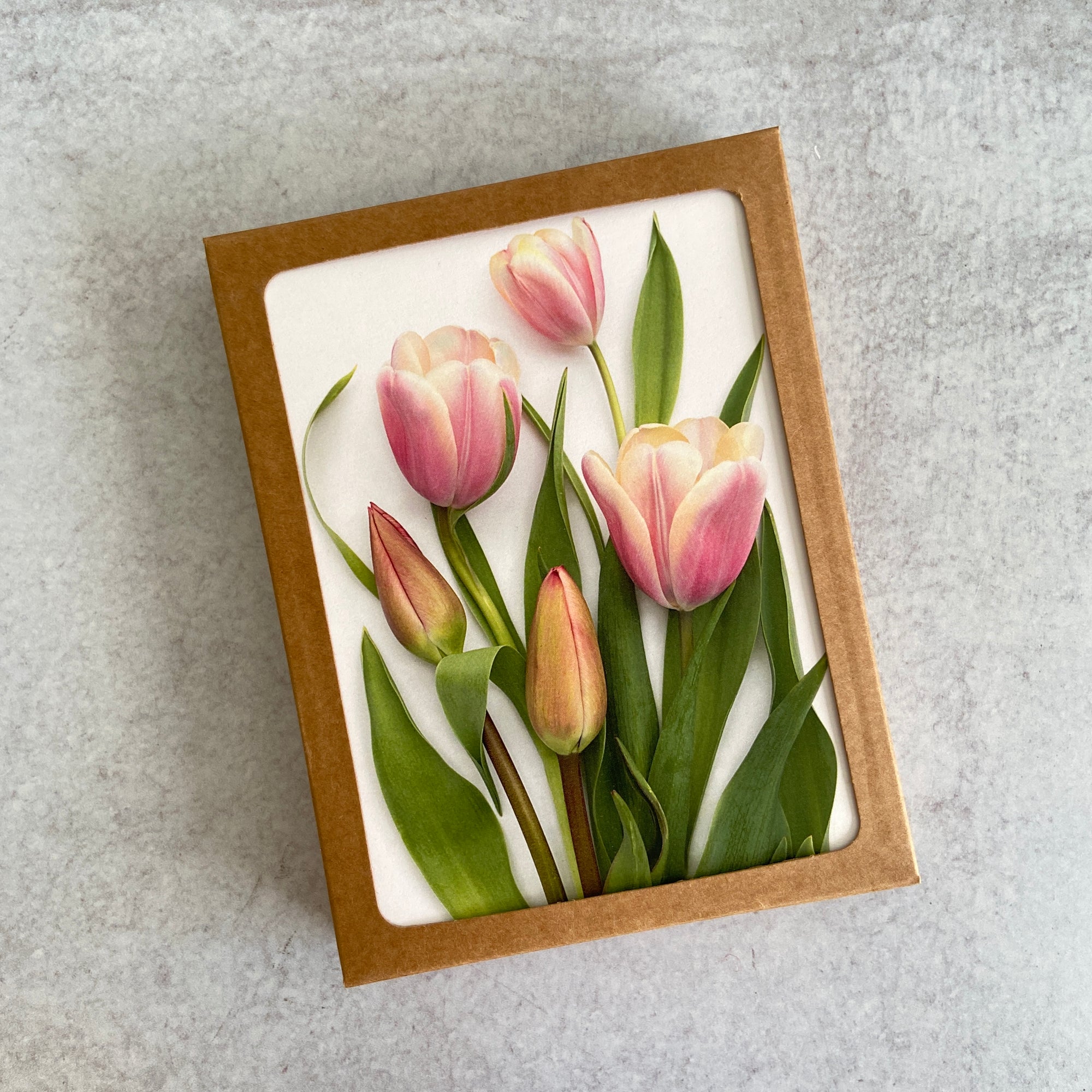 Pink Flowers of Spring Card Set