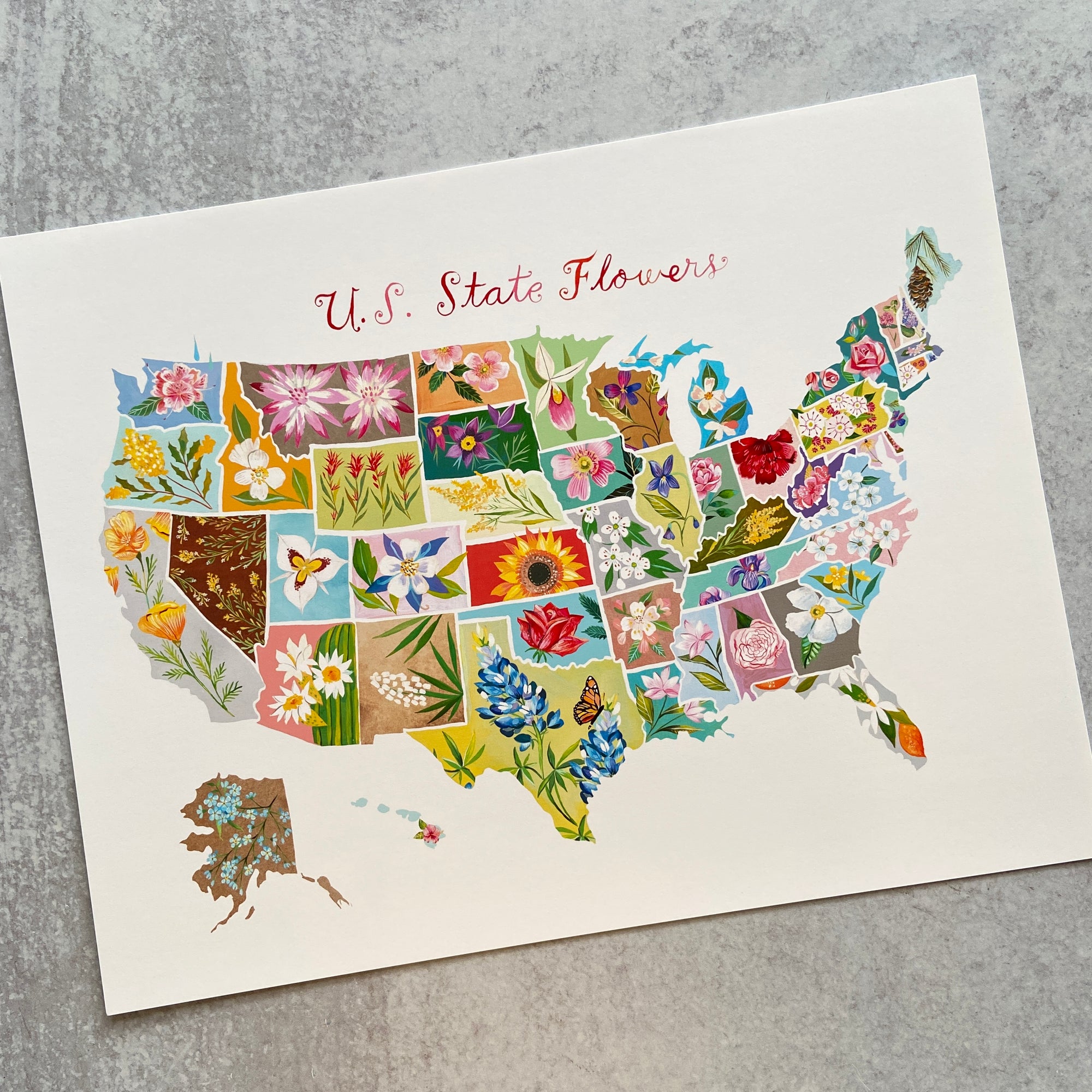 State Flowers - Print