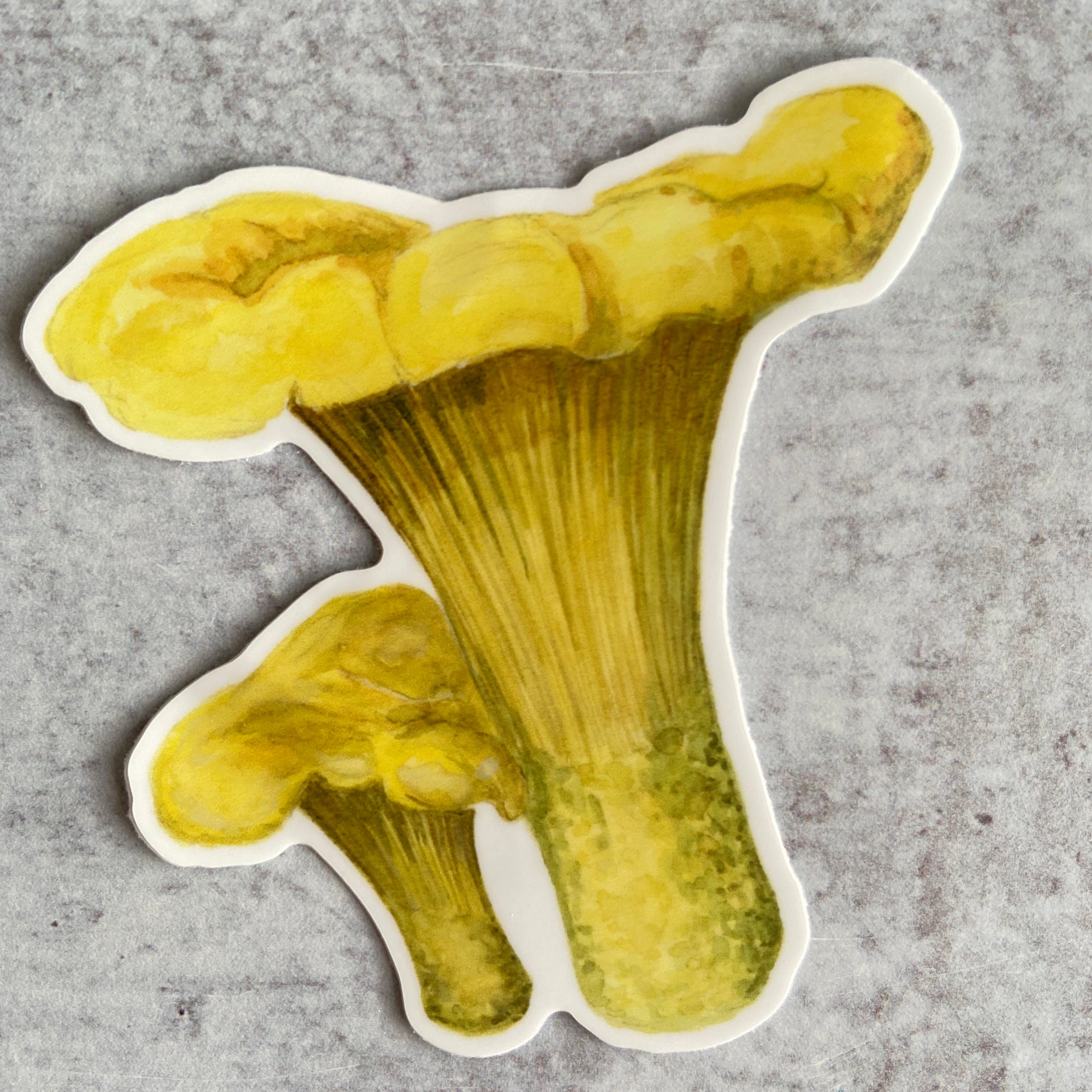 Sticker - Chanterelle Mushroom