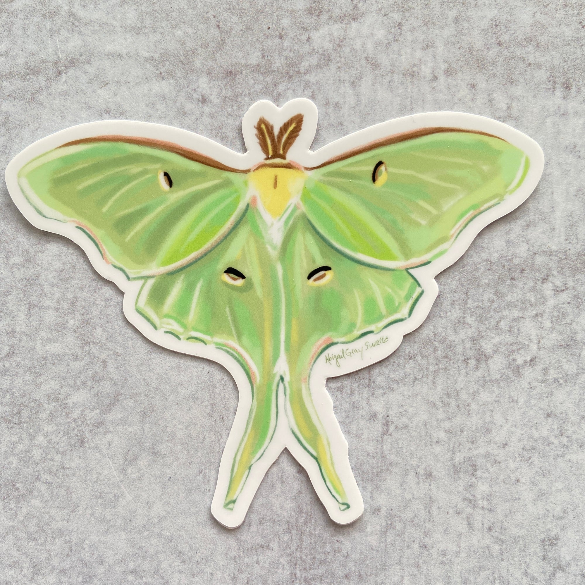 Sticker - Luna Moth