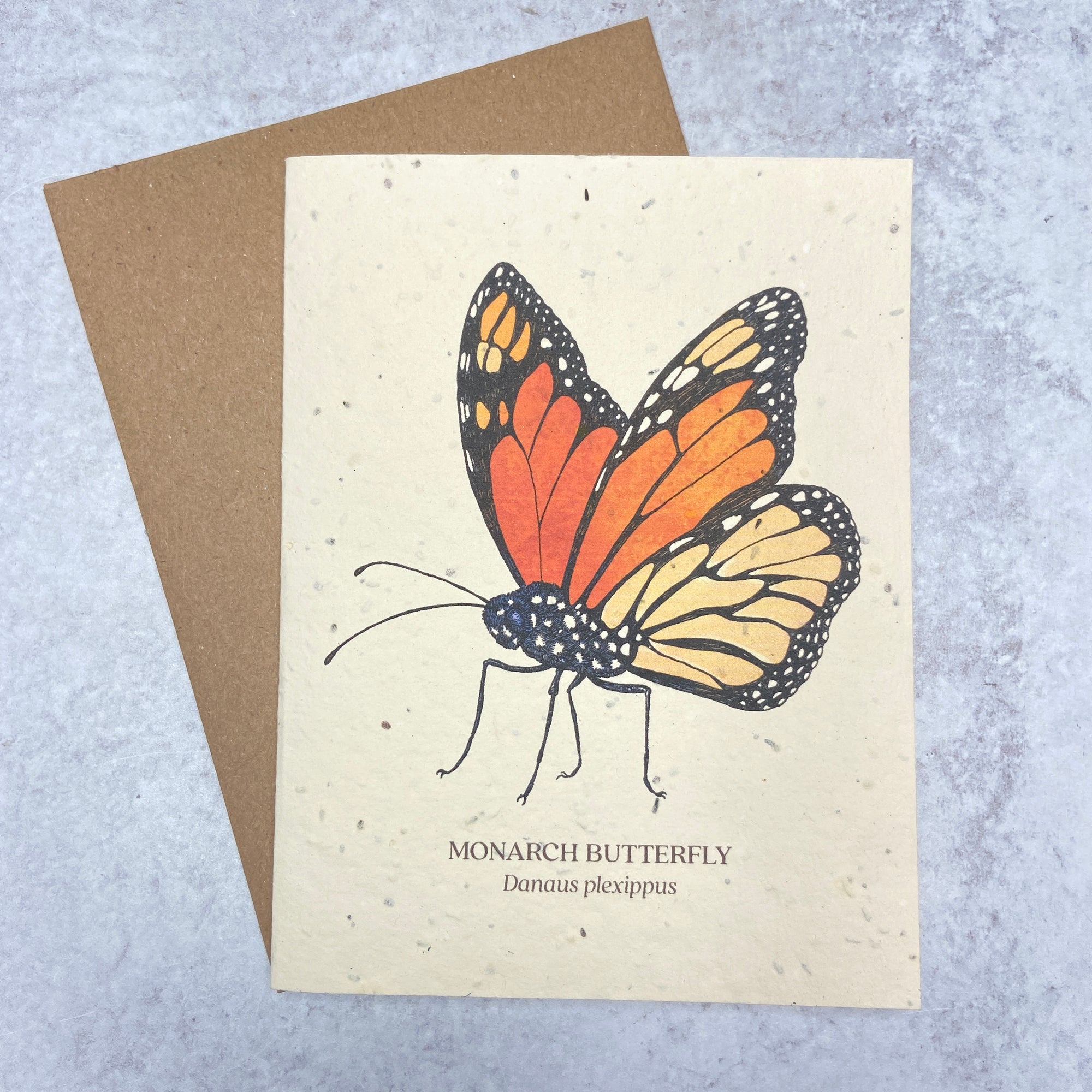 Plantable Seed Paper Card