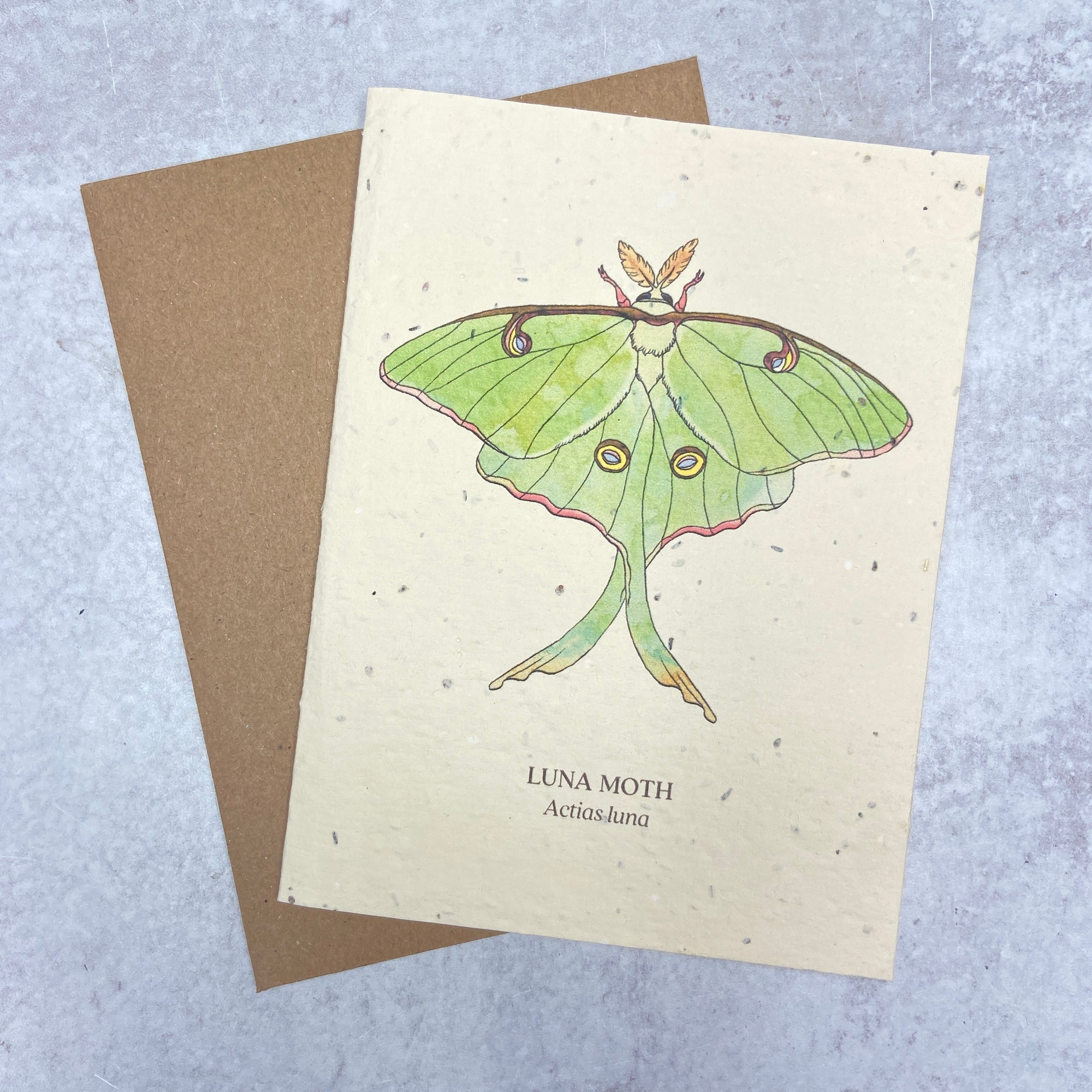 Plantable Seed Paper Card