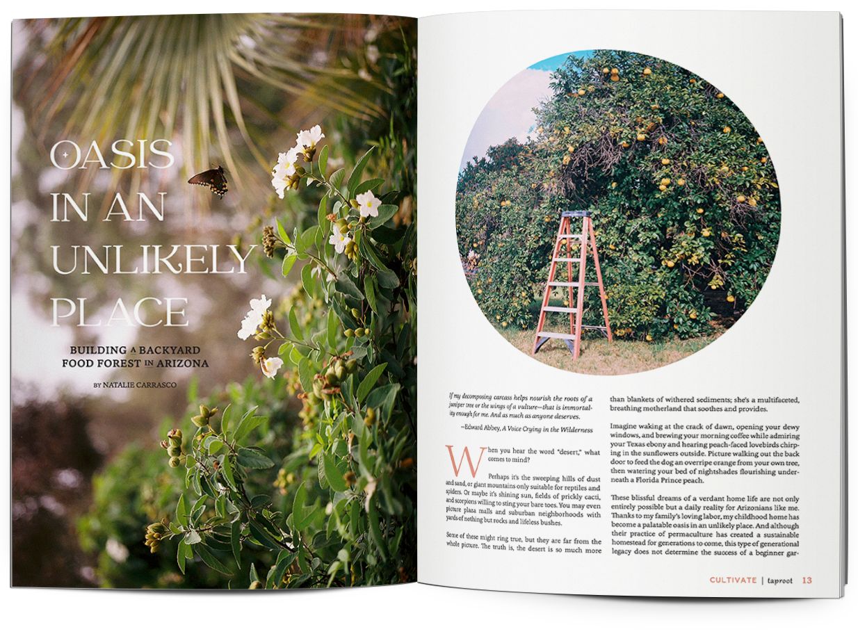 Issue 56::CULTIVATE